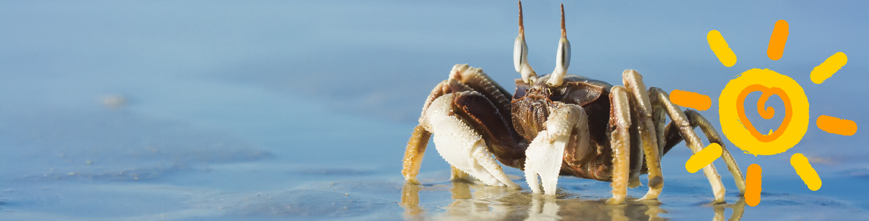 No Extra Fees at The Beachcomber in Port Aransas